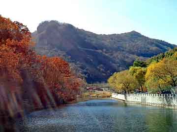 新澳天天开奖资料大全旅游团，膝关节部位牵拉性疼痛